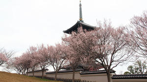 20100328_469shuusei.jpg