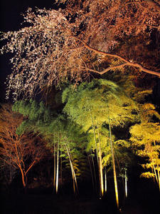20100329_7shuusei.jpg