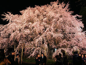 20100329_54shuusei.jpg