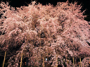 20100329_27shuusei.jpg