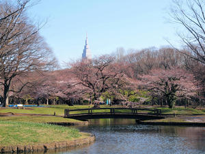 20100330_52shuusei.jpg