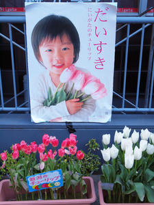 20100330_61shuusei.jpg