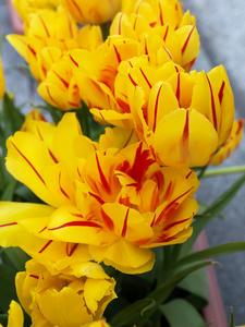 20100330_63shuusei.jpg