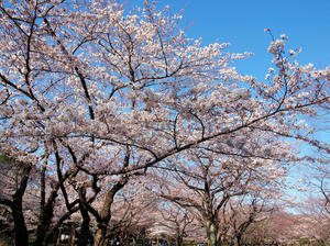 20100330_3shuusei.jpg