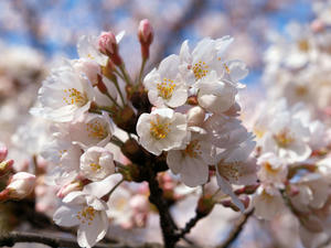 20100330_6shuusei.jpg