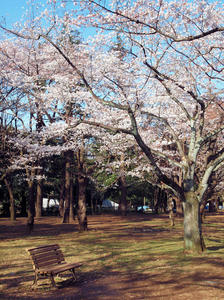 20100330_17shuusei.jpg