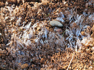 20100330_35shuusei.jpg