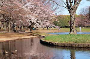 20100330_43shuusei.jpg
