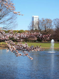 20100330_46shuusei.jpg