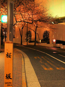 20100330_187shuusei.jpg