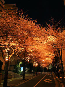 20100330_179shuusei.jpg