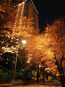 20100330_78shuusei.jpg