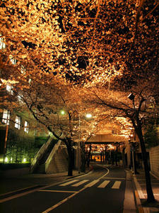 20100330_97shuusei.jpg