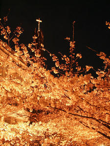 20100330_140shuusei.jpg