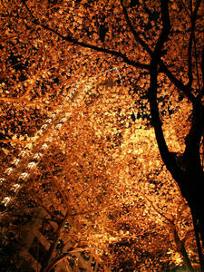 20100330_85shuusei.jpg
