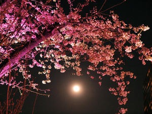 20100330_212shuusei.jpg