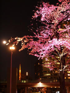 20100330_232shuusei.jpg