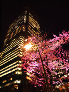 20100330_235shuusei.jpg