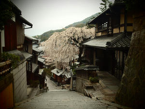 20100402_147shuusei.jpg