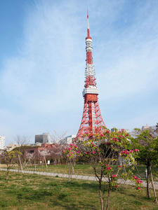 20100331_11shuusei.jpg