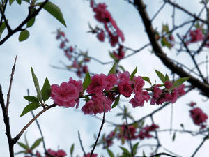 20100331_4shuusei.jpg