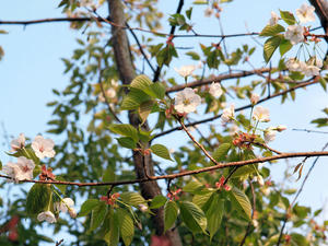20100331_8shuusei.jpg