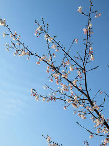 20100331_21shuusei.jpg