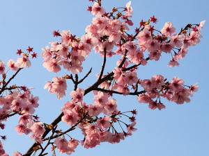 20100331_28shuusei.jpg