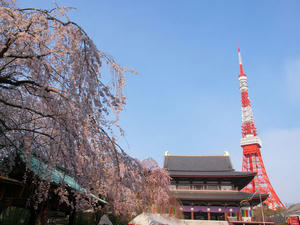 20100331_43shuusei.jpg