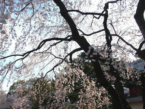 20100331_52shuusei.jpg