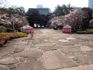 20100331_80shuusei.jpg