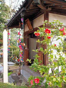 20100331_84shuusei.jpg