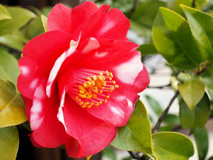 20100331_85shuusei.jpg