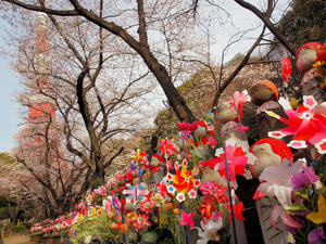 20100331_87shuusei.jpg