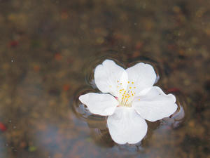 20100331_90shuusei.jpg