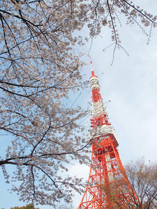 20100331_110shuusei.jpg