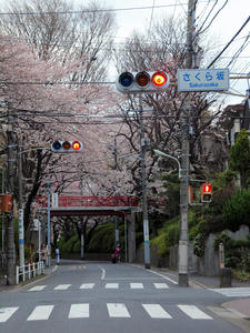 20100403_150shuusei.jpg