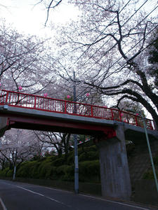 20100403_13shuusei.jpg