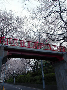 20100403_20shuusei.jpg