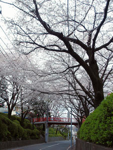 20100403_34shuusei.jpg
