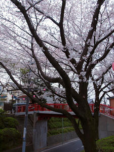 20100403_40shuusei.jpg