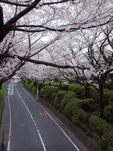 20100403_52shuusei.jpg