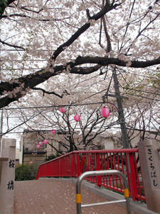 20100403_86shuusei.jpg