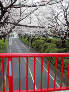 20100403_102shuusei.jpg