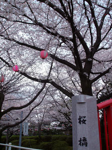 20100403_125shuusei.jpg