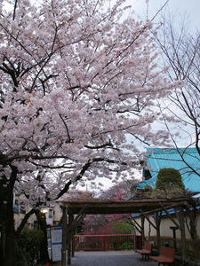 20100403_153shuusei.jpg