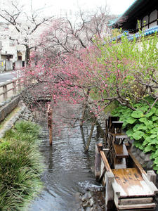 20100403_159shuusei.jpg