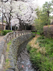 20100403_173shuusei.jpg