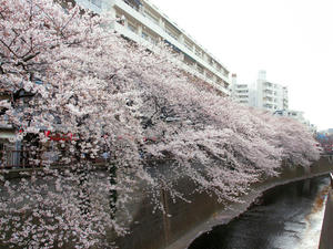 20100403_460shuusei.jpg