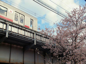 20100403_454shuusei.jpg